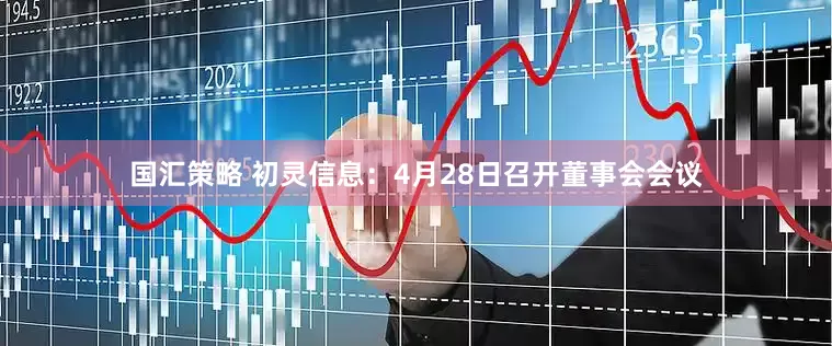 国汇策略 初灵信息：4月28日召开董事会会议